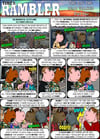 "TIME'S RAMBLER" #5