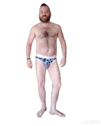Image 1 of Blue and White Briefs