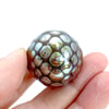 Shiny Object 1: Art Glass Bead. Ready to Ship.