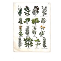 Image 1 of Vintage Print Useful Plants Hanging Canvas Tapestry