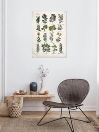 Image 2 of Vintage Print Useful Plants Hanging Canvas Tapestry