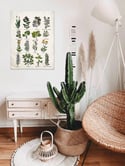 Vintage Print Useful Plants Hanging Canvas Tapestry