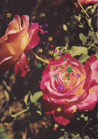 roses & stars-original collage