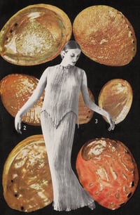 abalone shell lady-original collage