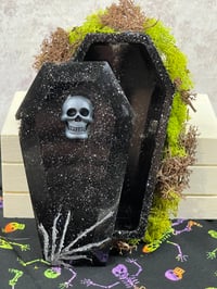 Image 1 of Coffin Box with Moss