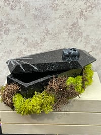 Image 2 of Coffin Box with Moss