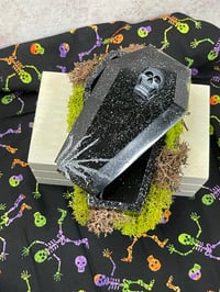 Image 3 of Coffin Box with Moss