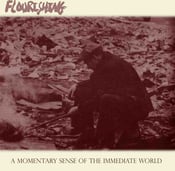 Image of Flourishing "A Momentary Sense Of The Immediate World" CD