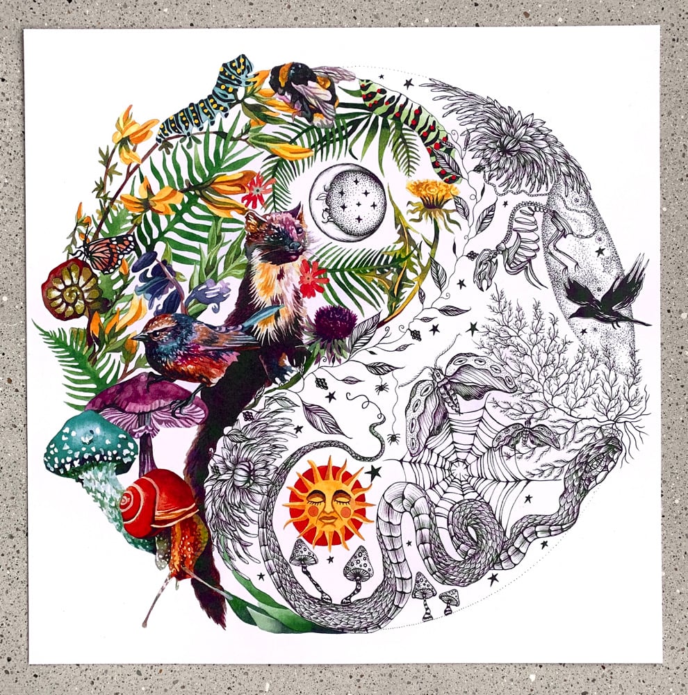 Image of Yin Yang