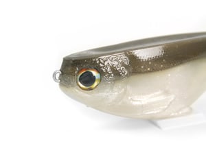 Image of Citizen 7 ( MILITIA ) 2pk.