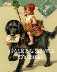International Track & Trace Service ( worldwide)