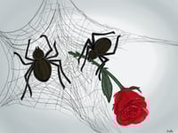 "True love"