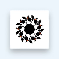 Image 1 of SCS-Iris