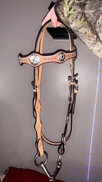 Western Horse Bridle with Snapple Bit