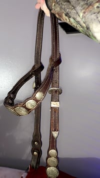 Western Horse Bridle 