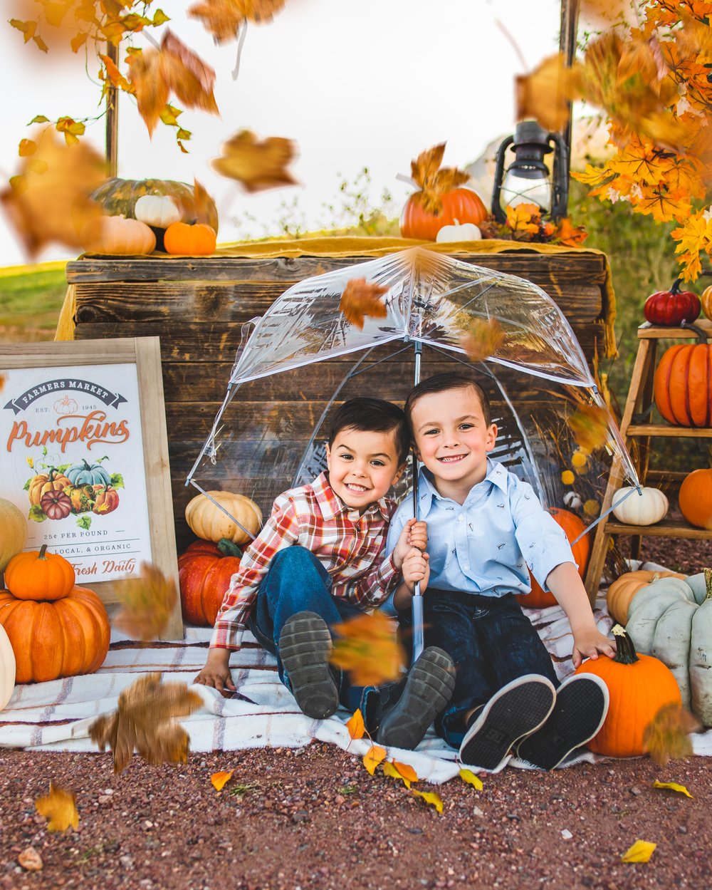 Image of Fall Family Mini and Kids pumpkin patch 