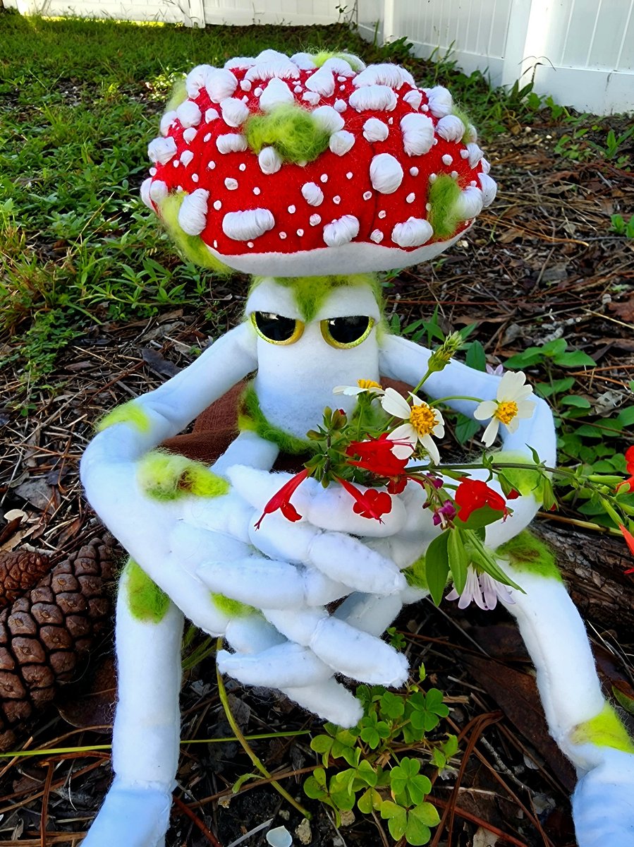 Murphy Mushroom Art Doll Jade Love Designs