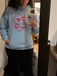 Baby Blue Hoodie with Pink Stealie
