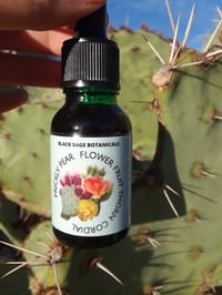 Image 1 of Prickly Pear Cactus Cordial