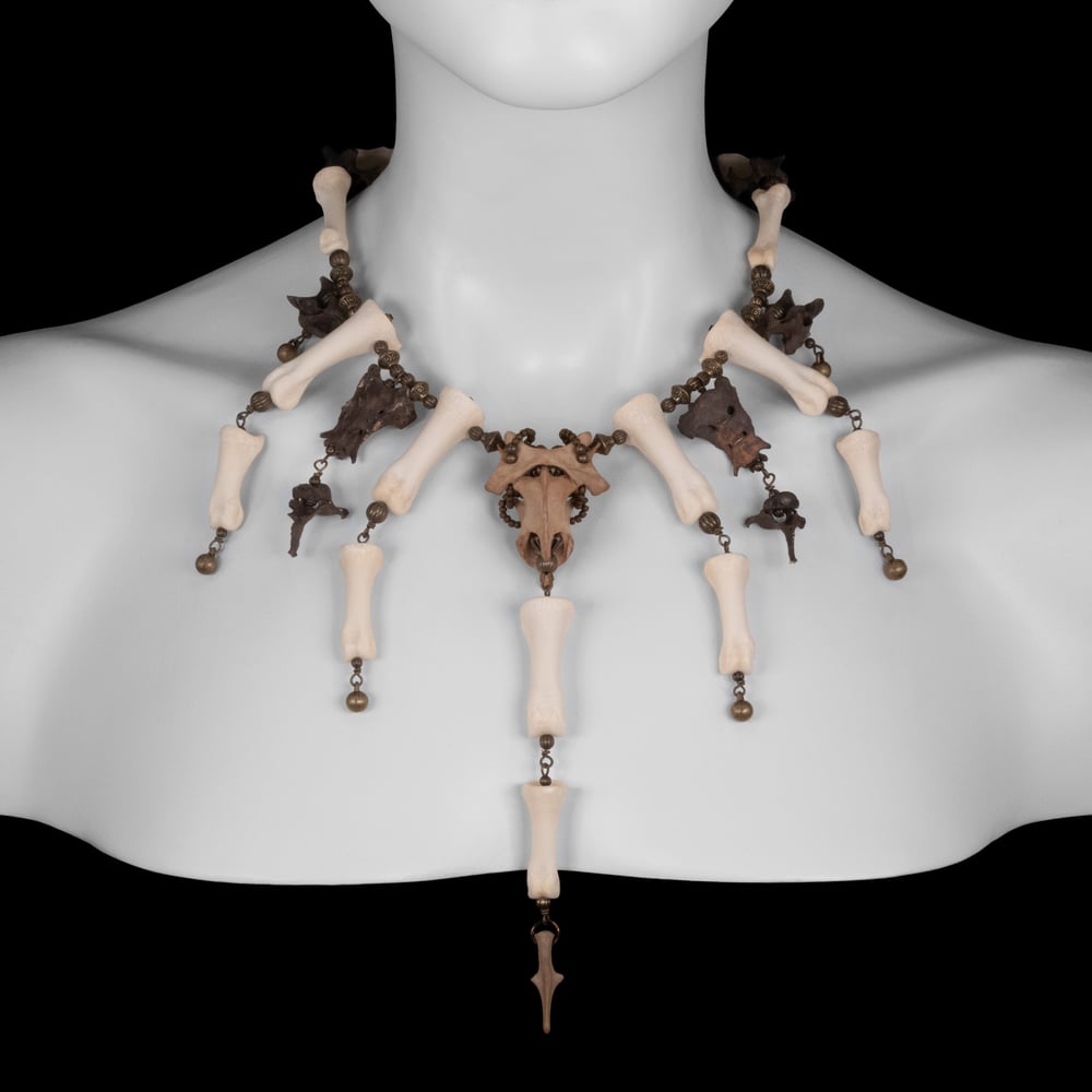 Image of "Lala" Turkey Foot Bone Necklace