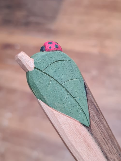 Image of Walnut Ladybeetle Cooking / Serving Soulspoon