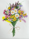 Rare Edition Print - Midsommar Flowers