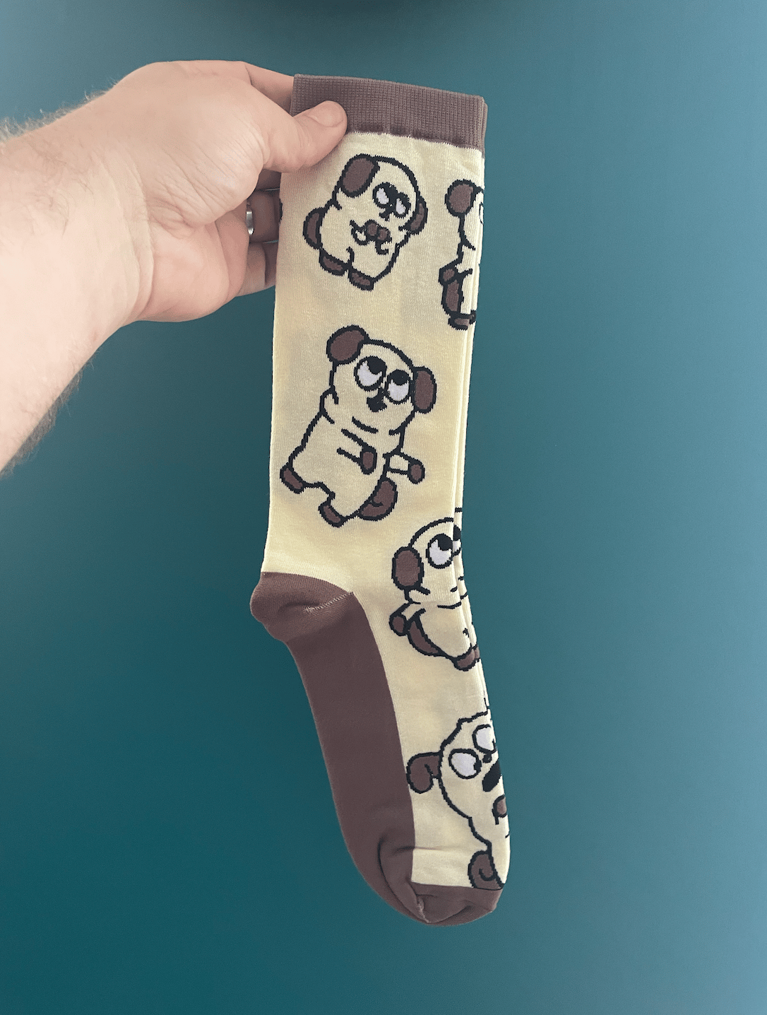 Image of Pugsley Socks
