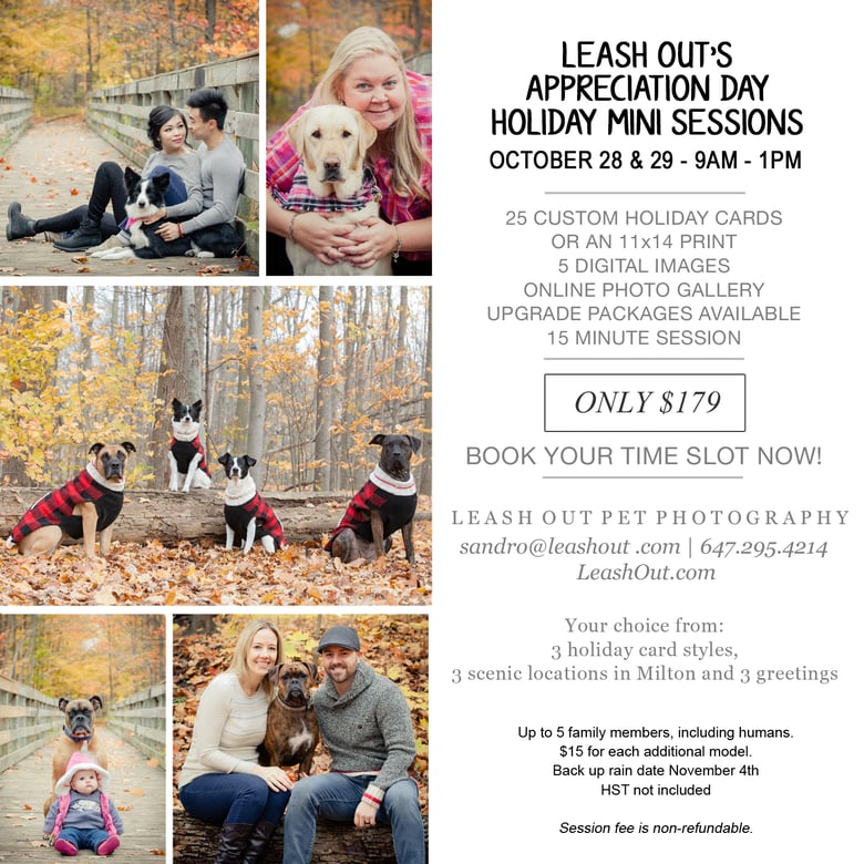 Image of Leash Out's Appreciation Day Holiday Photo Sessions - 2023