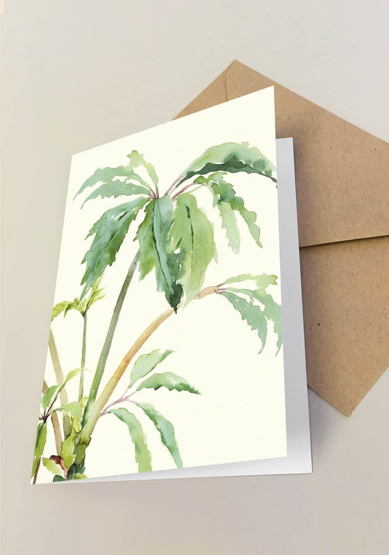 Image of 5 Notecards Begonia Carolinefolia