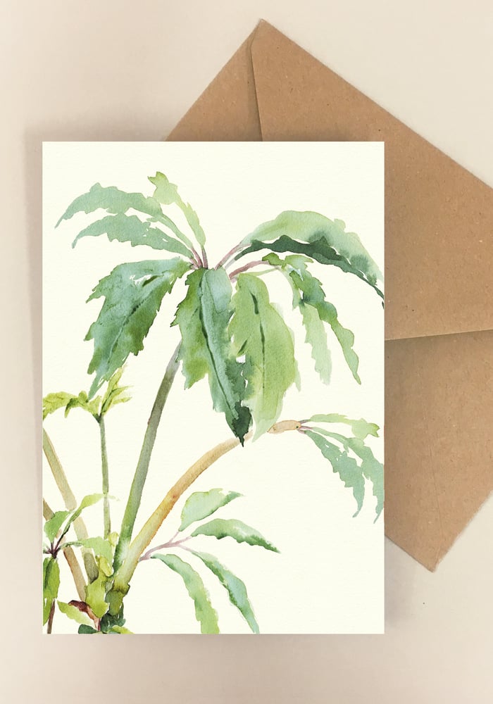 Image of 5 Notecards Begonia Carolinefolia