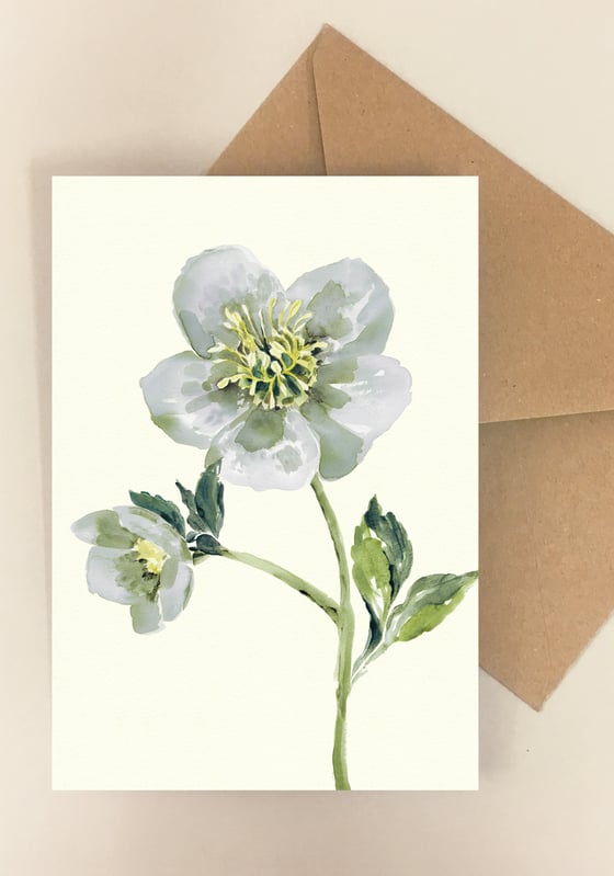 Image of 5 Notecards Helleborus No. 1032