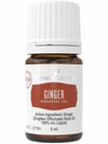 Complementary Medicine Ginger Wellness Essential Oil 5ml