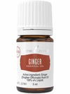 Complementary Medicine Ginger Wellness Essential Oil 5ml