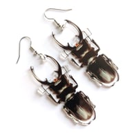 Image 3 of Titanus Stag Beetle Acrylic Earrings