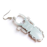 Image 4 of Titanus Stag Beetle Acrylic Earrings