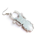 Titanus Stag Beetle Acrylic Earrings