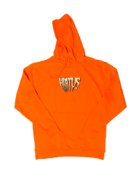 Classic logo orange hoodie