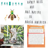Specimen Vol 2 - Native Bees