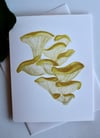 "Pluerotus citrinopileatus" Card