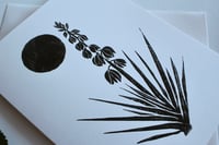 Image 2 of "Yucca baccata" Card