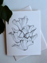 Image 1 of "Pluerotus djamor" Card