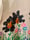 Image of "good seed"