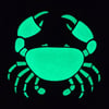 Ghost Crab Pin