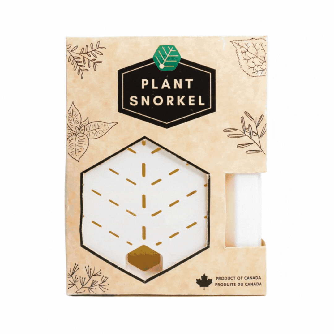 Image of Plant Snorkel - White