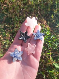 Image 2 of Mini Starfish Carvings