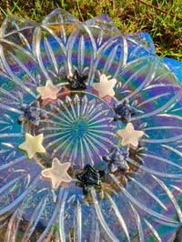 Image 3 of Mini Starfish Carvings