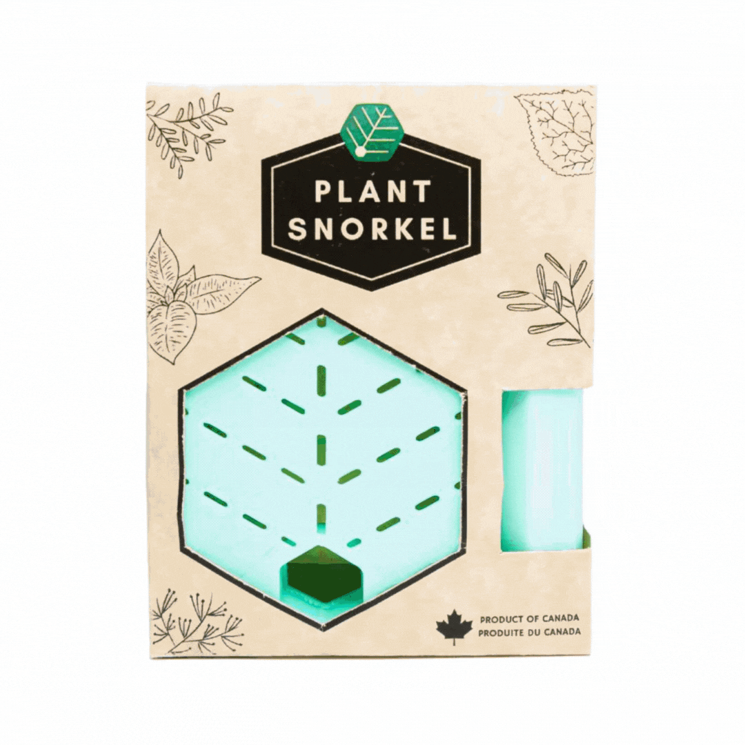 Image of Plant Snorkel - Mint
