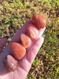 Image 2 of Large Carnelian Tumbles