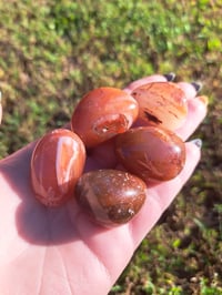 Image 3 of Large Carnelian Tumbles