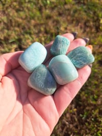 Image 3 of Amazonite Tumbles